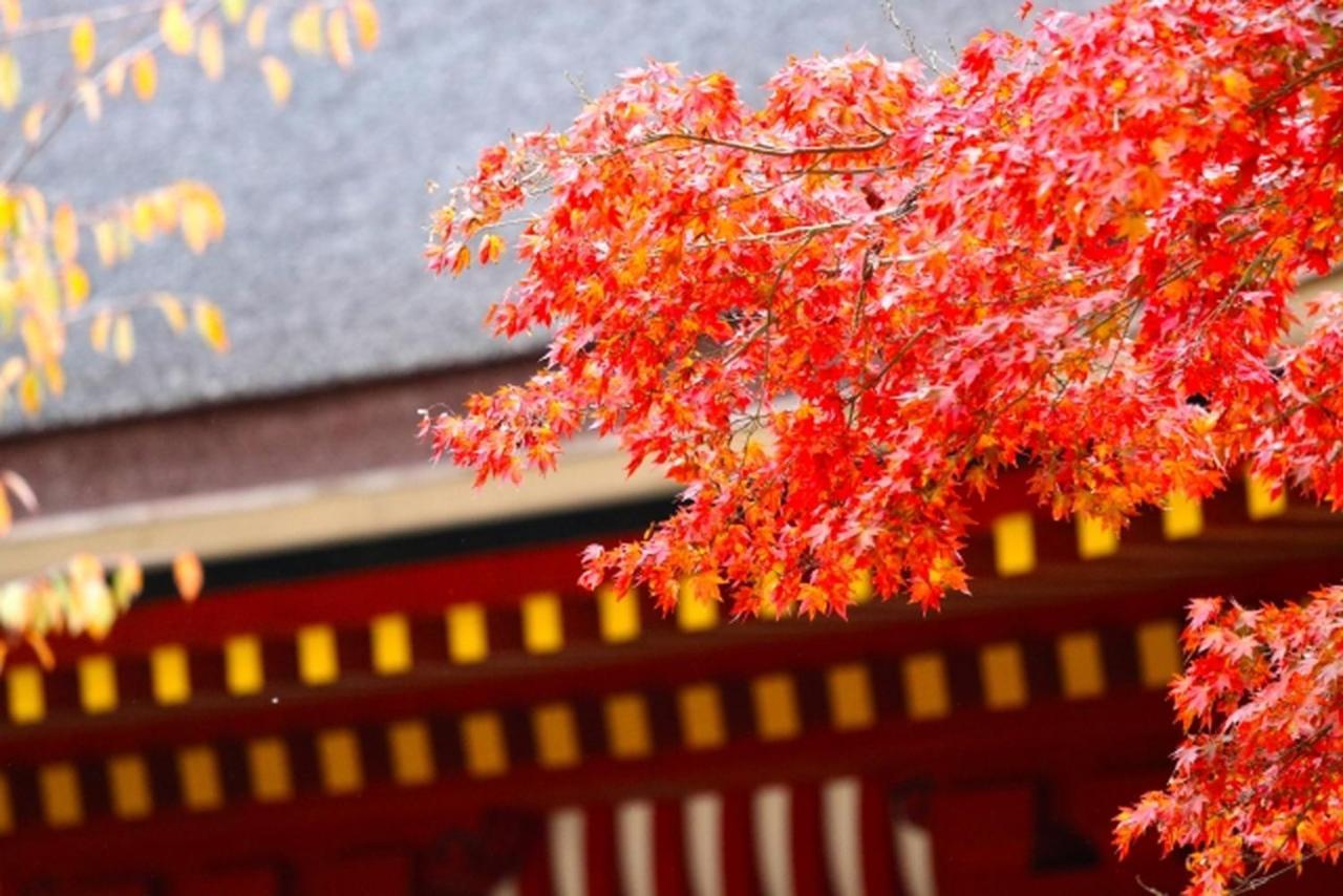 Stay Sakura Kyoto Gion Miyagawacho Екстер'єр фото